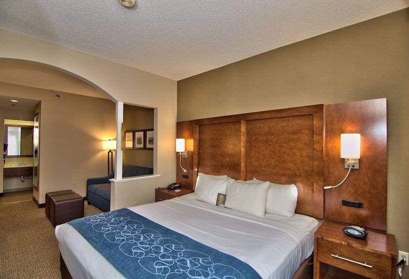 سوییت, Comfort Suites Scranton Near Montage Mountain