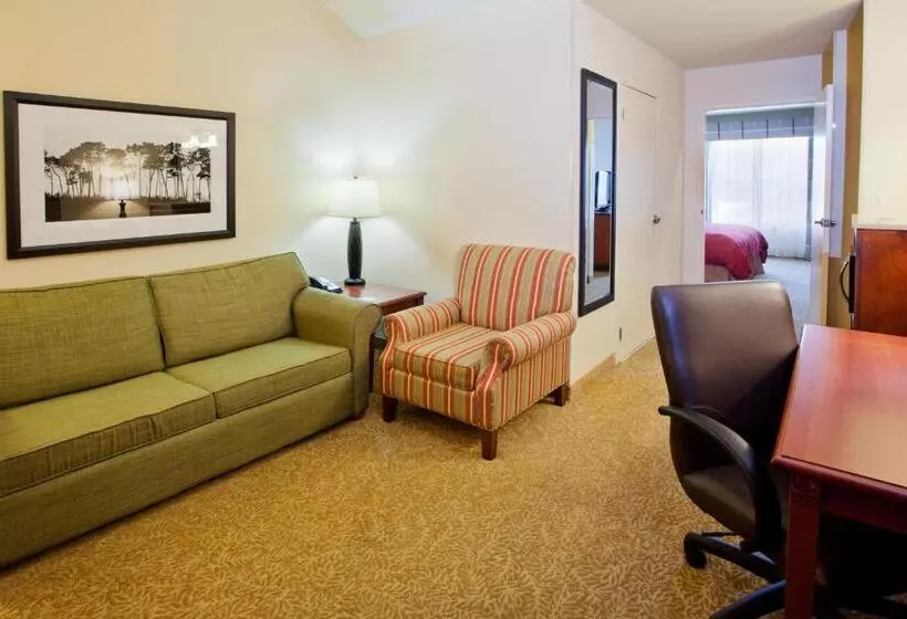 キングサイズベッドのスイートルーム, Country Inn & Suites By Radisson, Atlanta I75 South, Ga