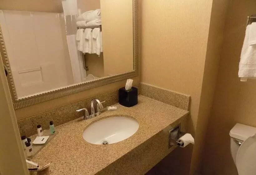 身障者適用スイートルーム, Country Inn & Suites By Radisson, Evansville, In