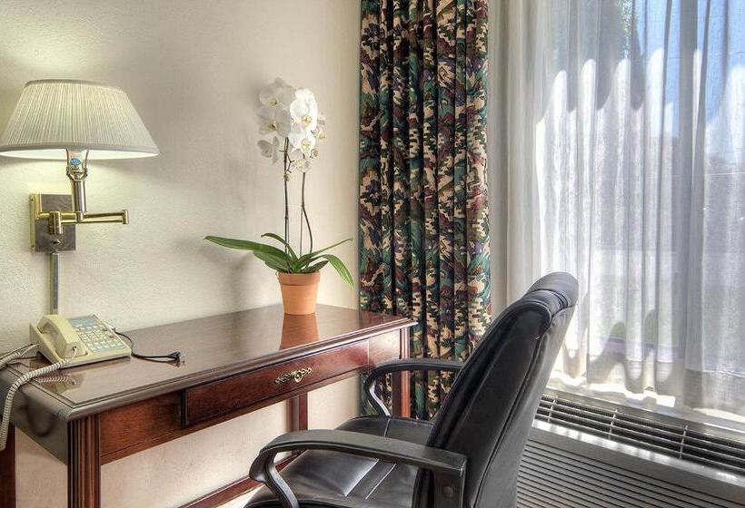 Стандартный Номер Кровать Кинг, County Inn