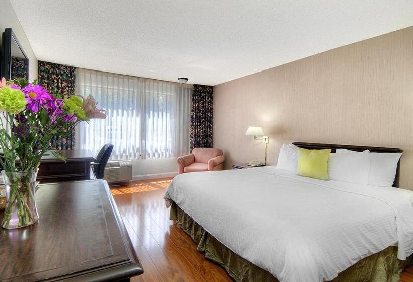 غرفة قياسية سرير كينج, County Inn