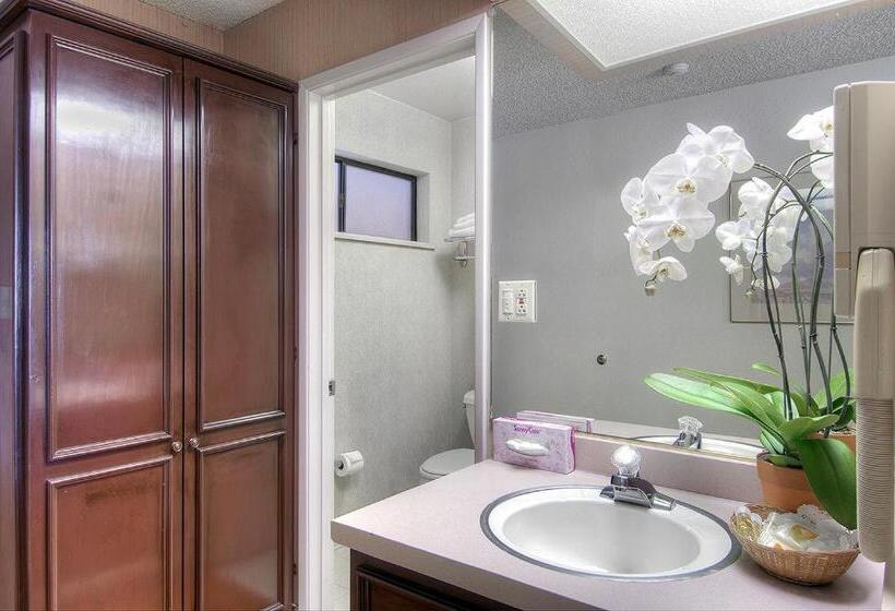 غرفة قياسية, County Inn