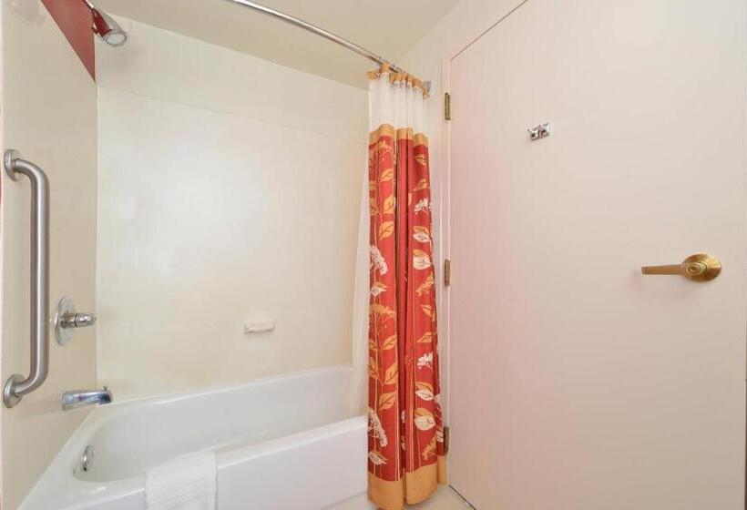 Номер Стандарт 2 Двуспальные Кровати, Courtyard By Marriott Bentonville