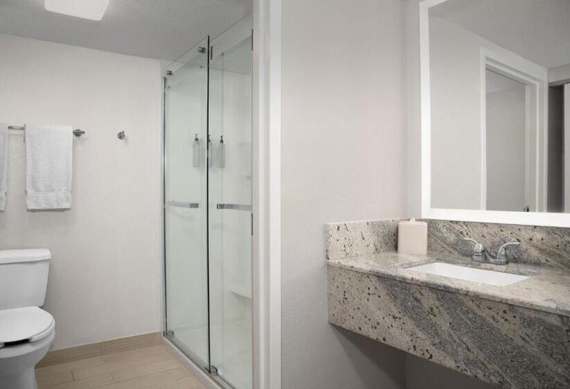 Standard-huone King-vuode, Courtyard By Marriott Orlando East/ucf Area