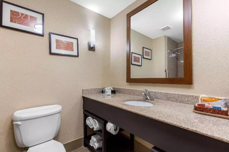 身障者適用スタンダードルーム, Holiday Inn Express Hotel & Suites Topeka North By Ihg
