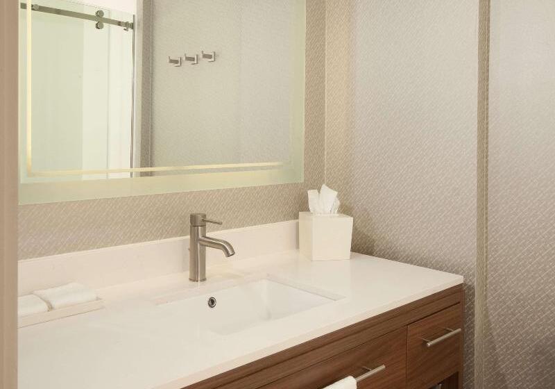 Люкс Кровать Кинг, Home2 Suites By Hilton Atlanta Perimeter Center
