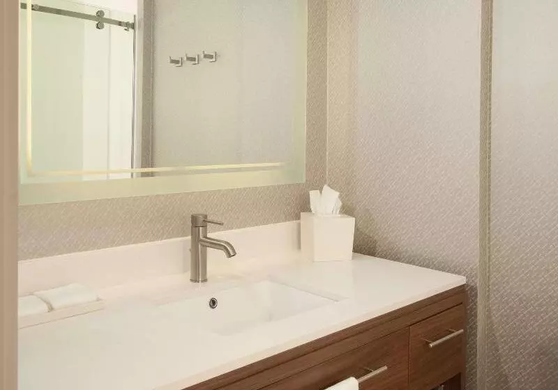 キングサイズベッドのスイートルーム, Home2 Suites By Hilton Atlanta Perimeter Center