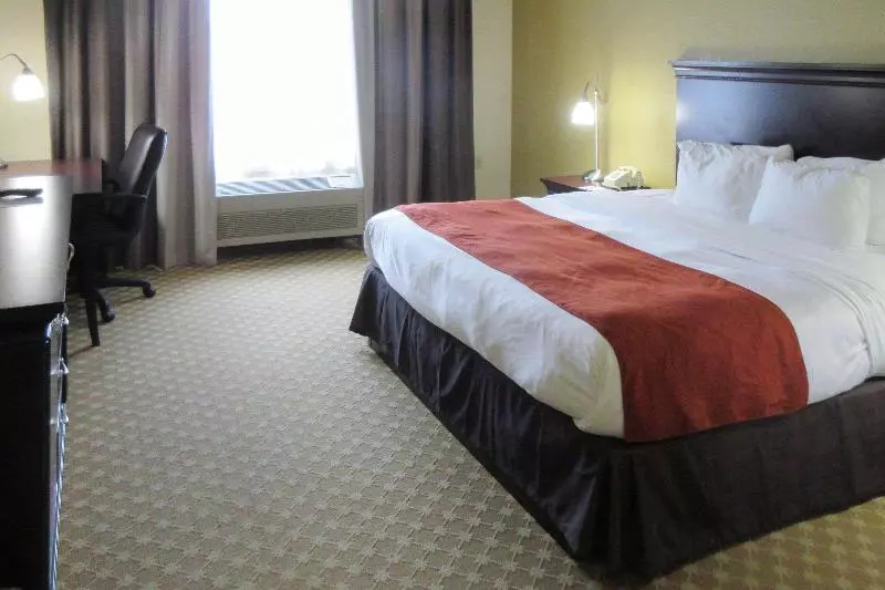キングサイズベッドのスタンダードルーム, Quality Inn & Suites