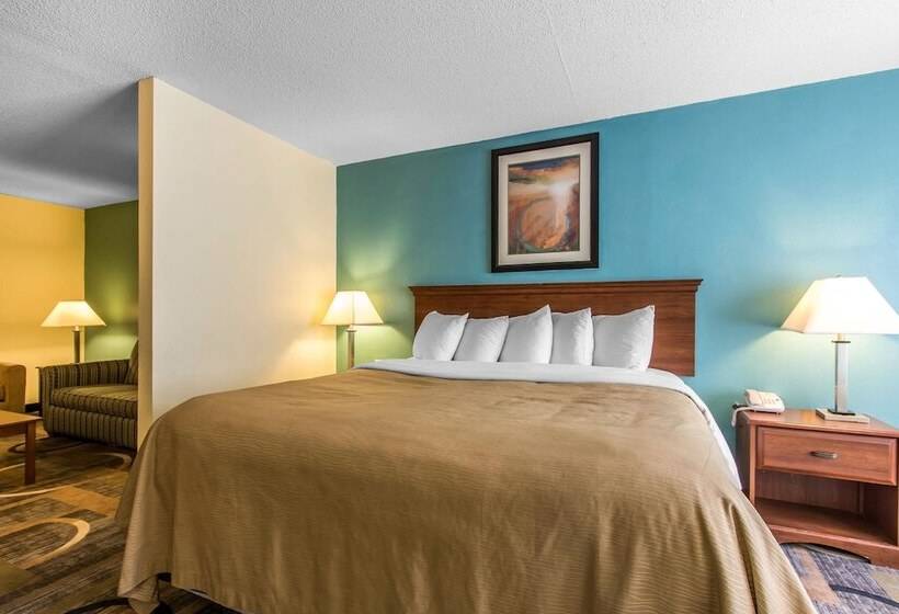 Люкс, Quality Inn & Suites Memphis East