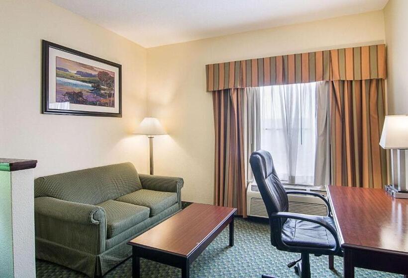 Suite King Size Seng, Quality Inn & Suites Near I 80 And I 294