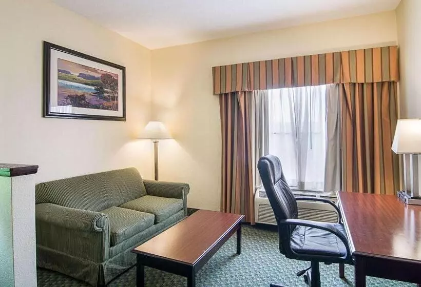 Sviitti King-vuode, Quality Inn & Suites Near I 80 And I 294