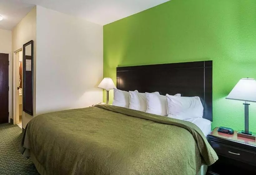 Sviitti King-vuode, Quality Inn & Suites Near I 80 And I 294