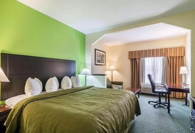 Sviitti King-vuode, Quality Inn & Suites Near I 80 And I 294