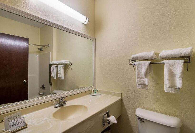 جناح سرير كينج, Quality Inn & Suites Near I 80 And I 294