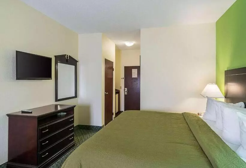 Sviitti King-vuode, Quality Inn & Suites Near I 80 And I 294