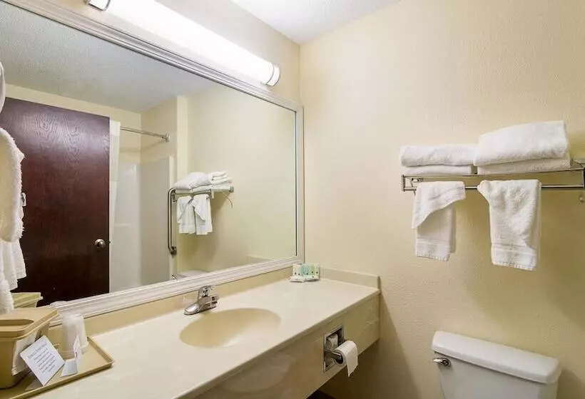 Sviitti, Quality Inn & Suites Near I 80 And I 294