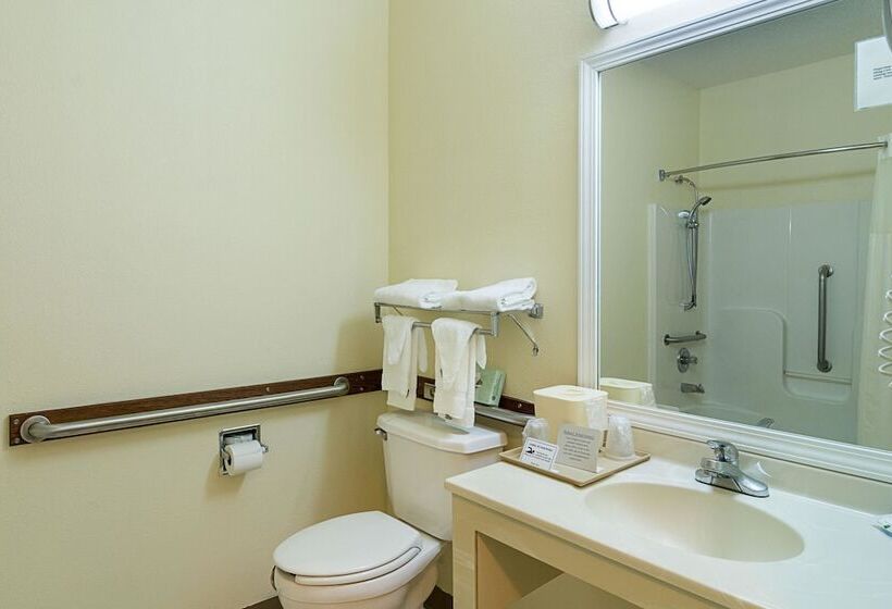 جناح لذوى الاحتياجات الخاصة, Quality Inn & Suites Near I 80 And I 294