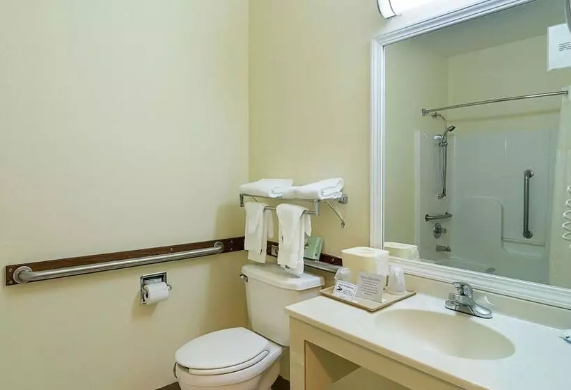 Sviitti Liikuntarajoitteisille, Quality Inn & Suites Near I 80 And I 294