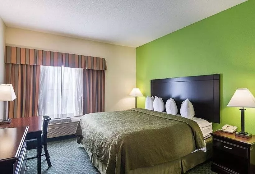 Sviitti Liikuntarajoitteisille, Quality Inn & Suites Near I 80 And I 294