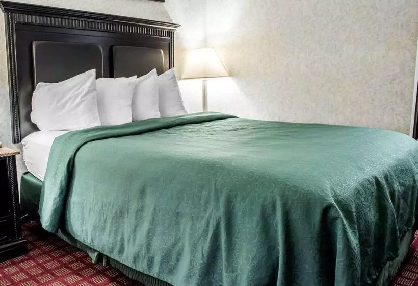 スタンダードルーム, Quality Inn & Suites North Gibsonia