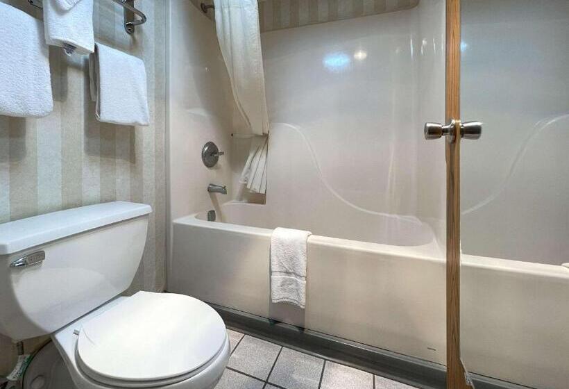 带2个双人床的标准工作室, Quality Inn & Suites North Gibsonia