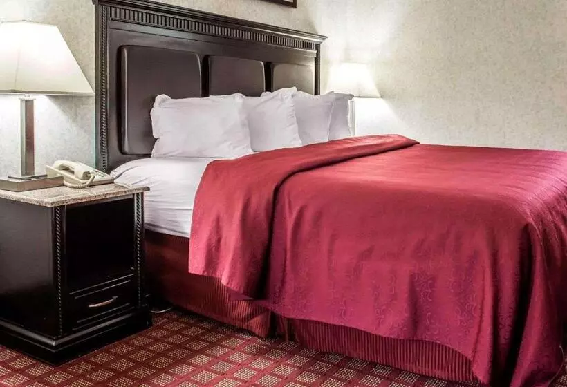 キングサイズベッドのスタンダードルーム, Quality Inn & Suites North Gibsonia
