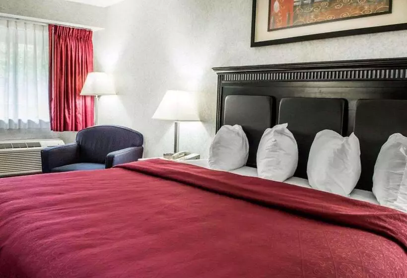 キングサイズベッドのスタンダードルーム, Quality Inn & Suites North Gibsonia