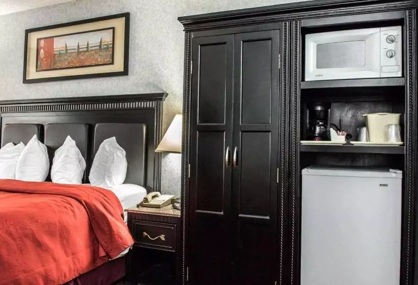 身障者適用キングサイズベッドルーム, Quality Inn & Suites North Gibsonia