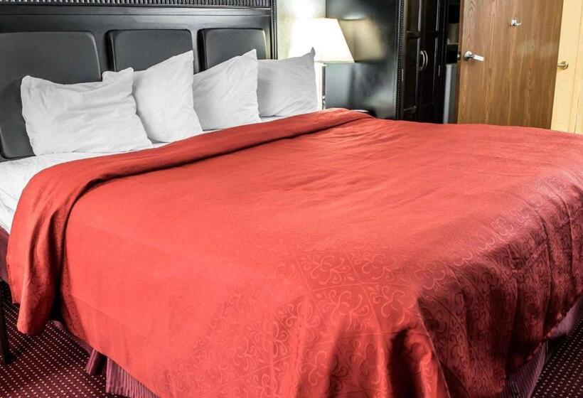 适合残疾人士使用的带超级大床的标准间, Quality Inn & Suites North Gibsonia