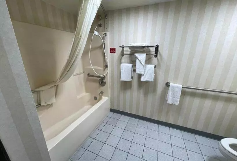 身障者適用キングサイズベッドルーム, Quality Inn & Suites North Gibsonia