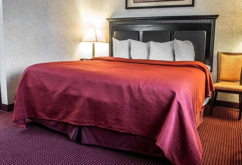 带大床的标准间, Quality Inn & Suites North Gibsonia