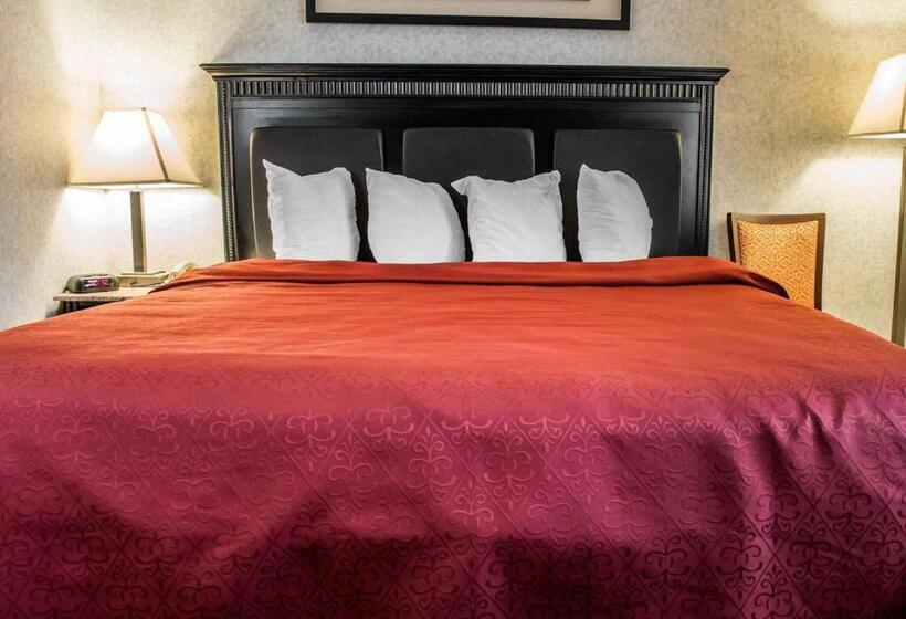 带大床的标准间, Quality Inn & Suites North Gibsonia