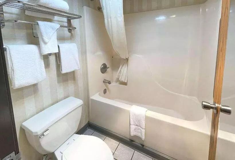 プレジデントスイートルーム, Quality Inn & Suites North Gibsonia