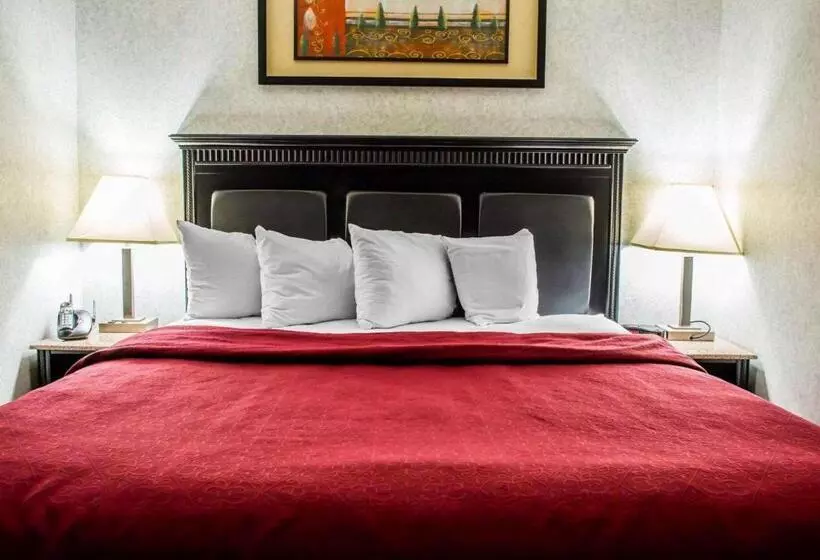 プレジデントスイートルーム, Quality Inn & Suites North Gibsonia
