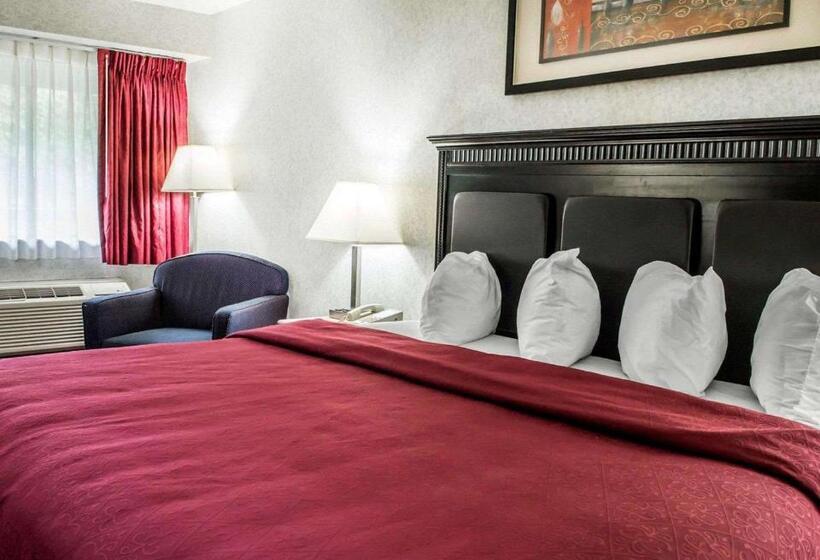 장애인을 위한 킹사이즈 침대 스탠다드 룸, Quality Inn & Suites North Gibsonia
