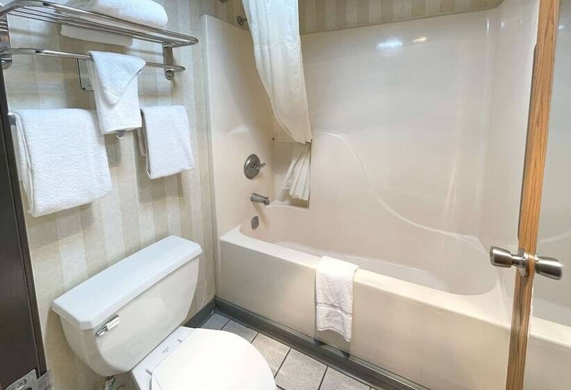 带2个双人床的标准工作室, Quality Inn & Suites North Gibsonia