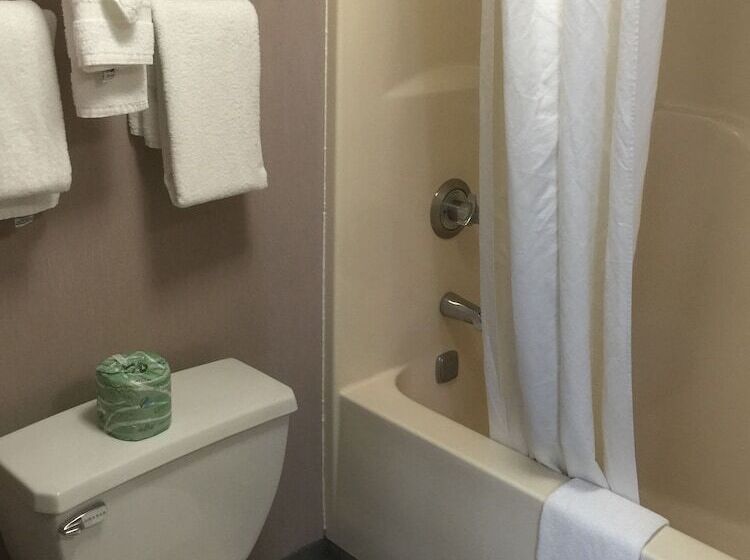 带2个双人床的标准工作室, Quality Inn & Suites North Gibsonia