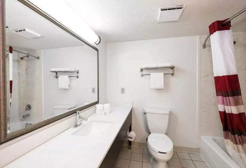 デラックスルーム, Red Roof Inn & Suites Stafford, Va