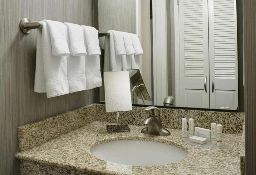 스탠다드 룸 킹사이즈 침대, Sonesta Select Milwaukee Brookfield