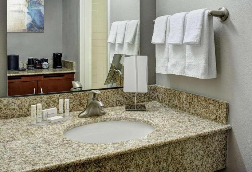 스위트 킹사이즈 침대, Sonesta Select Milwaukee Brookfield