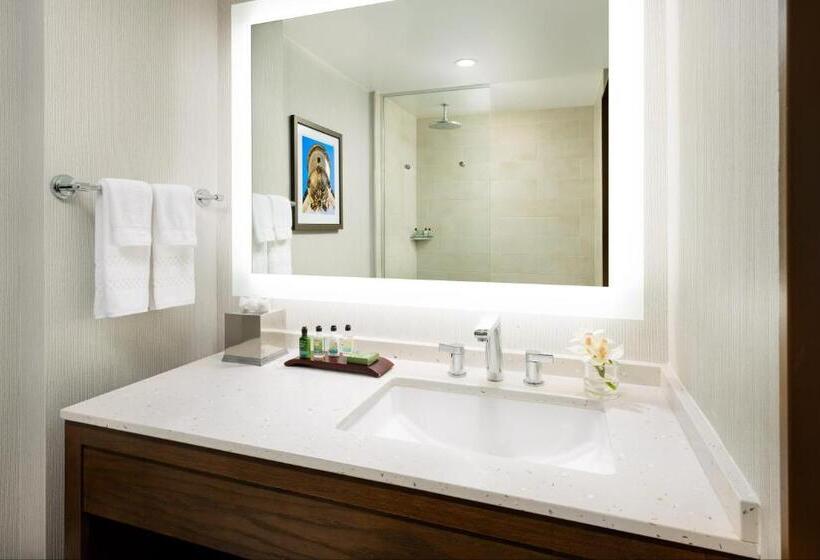 غرفة قياسية سرير كينج, The Anza  A Calabasas