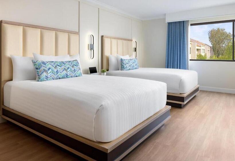 غرفة بريميوم, The Anza  A Calabasas