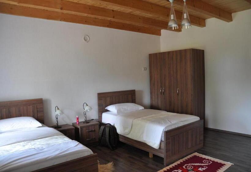 חדר אקונומי, Bujtina Gjana