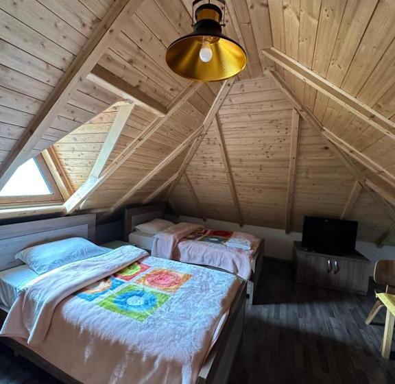 חדר אקונומי, Bujtina Gjana