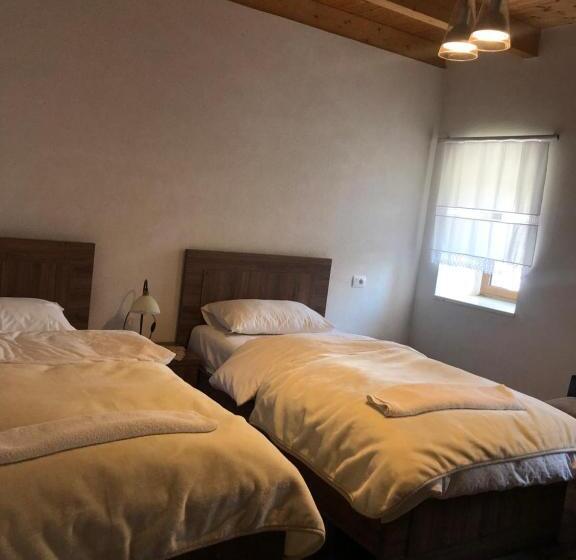 חדר אקונומי, Bujtina Gjana