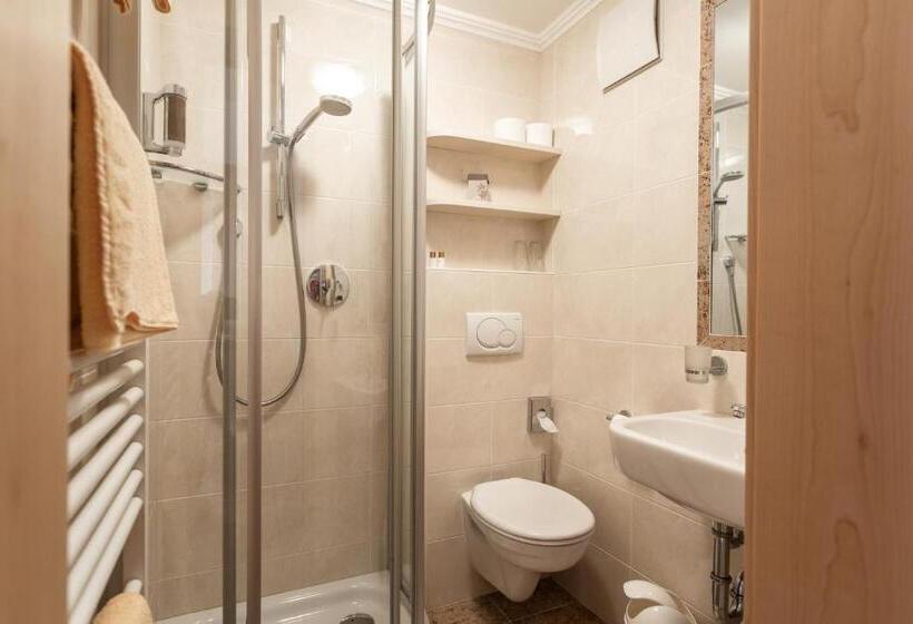 Номер Economy, Aktiv  Und Wellnesshotel Traube  Post