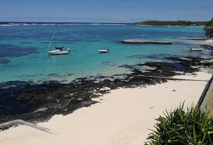 آپارتمان 1 خوابه با چشمانداز دریا, Blue Beryl Guest House