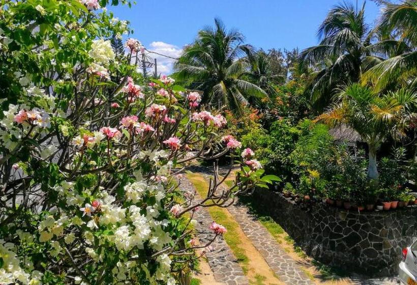 آپارتمان 1 خوابه با چشمانداز دریا, Blue Beryl Guest House