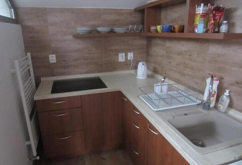 غرفة قياسية حمام مشترك, Penzión Drieňovkou