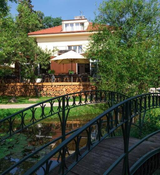 Полулюкс Одноместный с Террасой, Areal Botanika